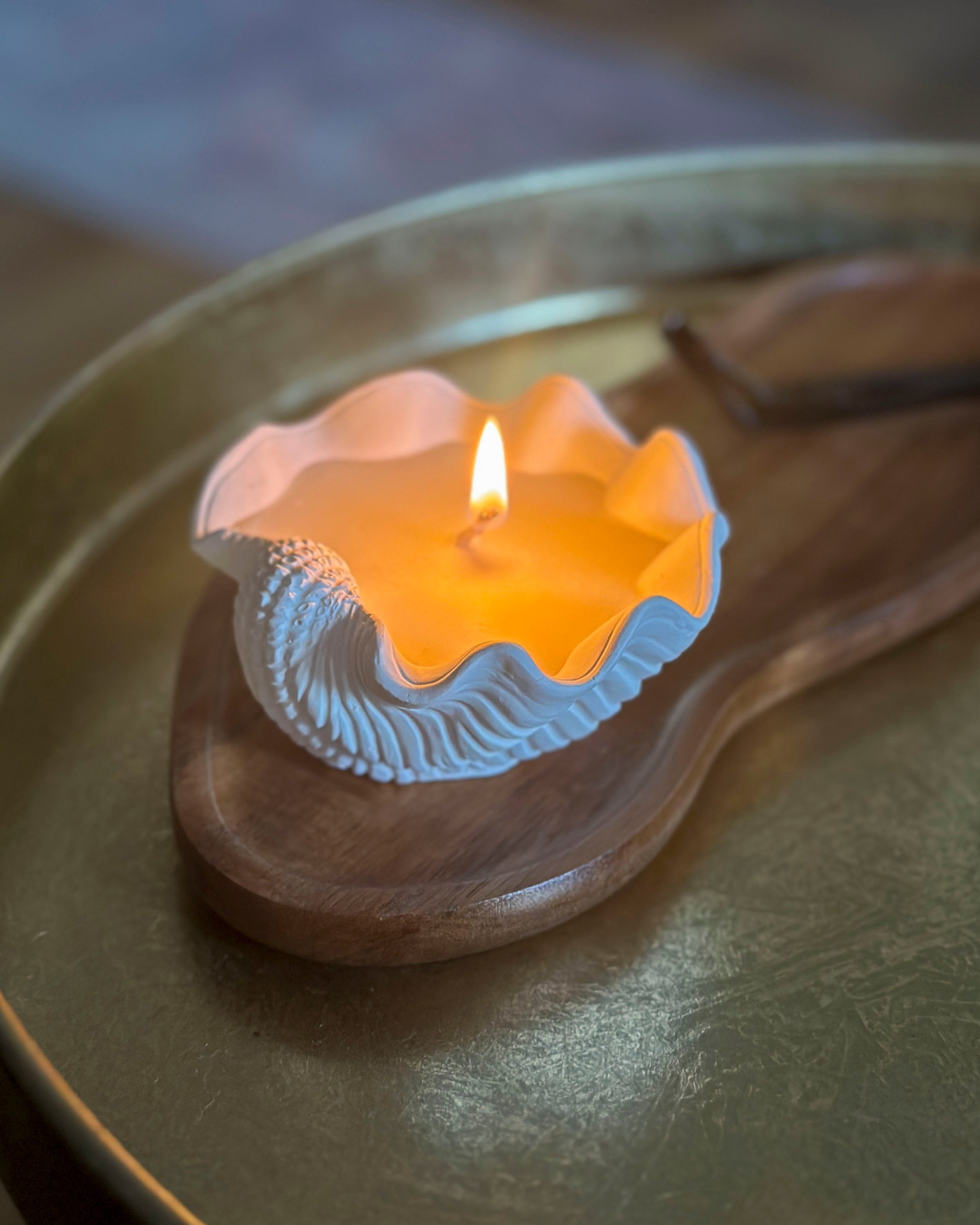 How Your Home Can Tell Your Story—One Object at a Time