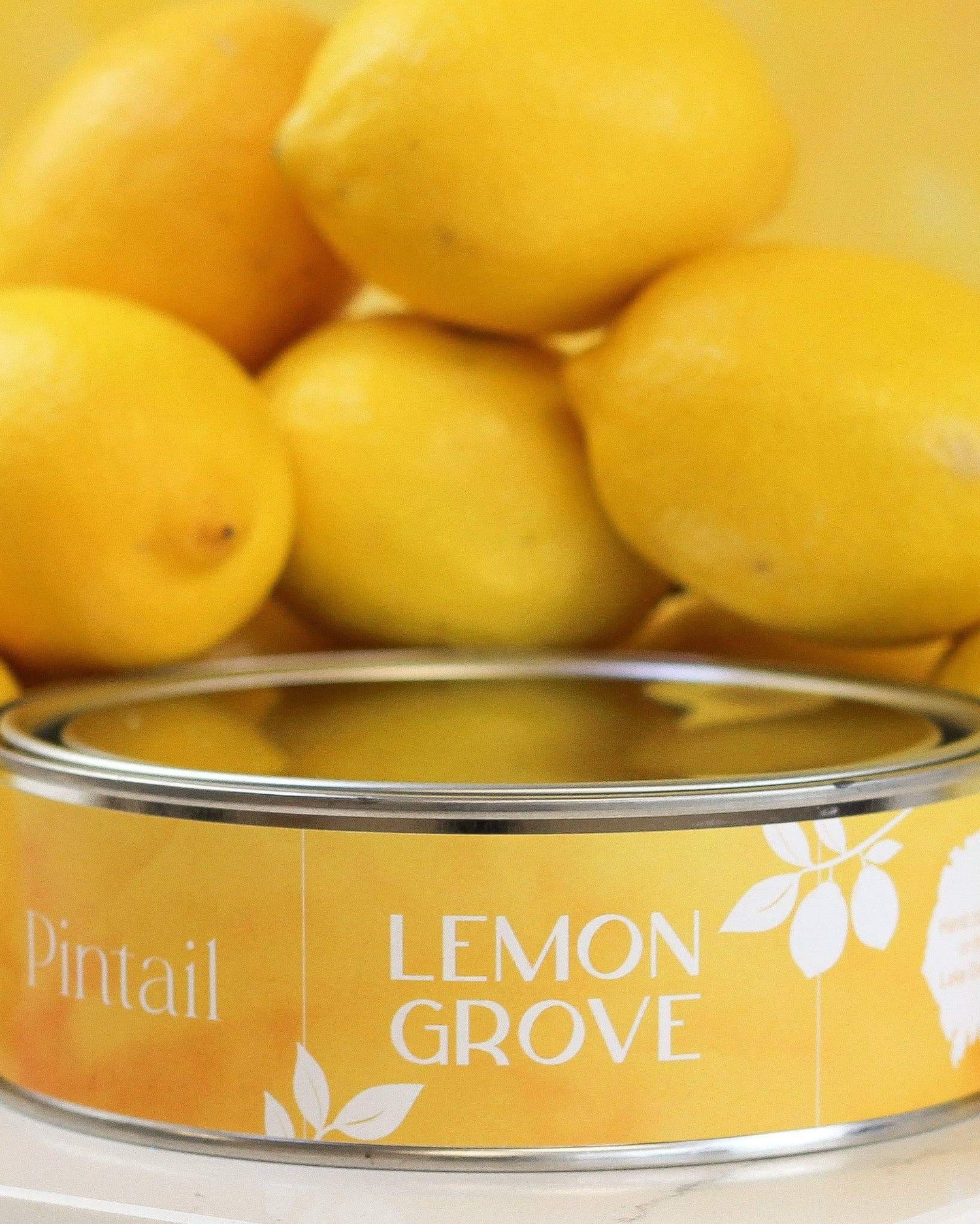 Lemon Grove Paint Pot Candle - Benny and Mollie