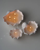 Scented Large Clam Shell Candle - Benny and Mollie