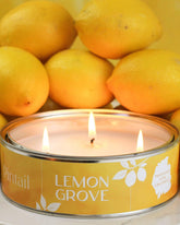 Lemon Grove Paint Pot Candle - Benny and Mollie