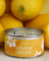 Lemon Grove Paint Pot Candle - Benny and Mollie