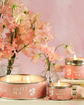 Sweet Pea Paint Pot Candle - Benny and Mollie