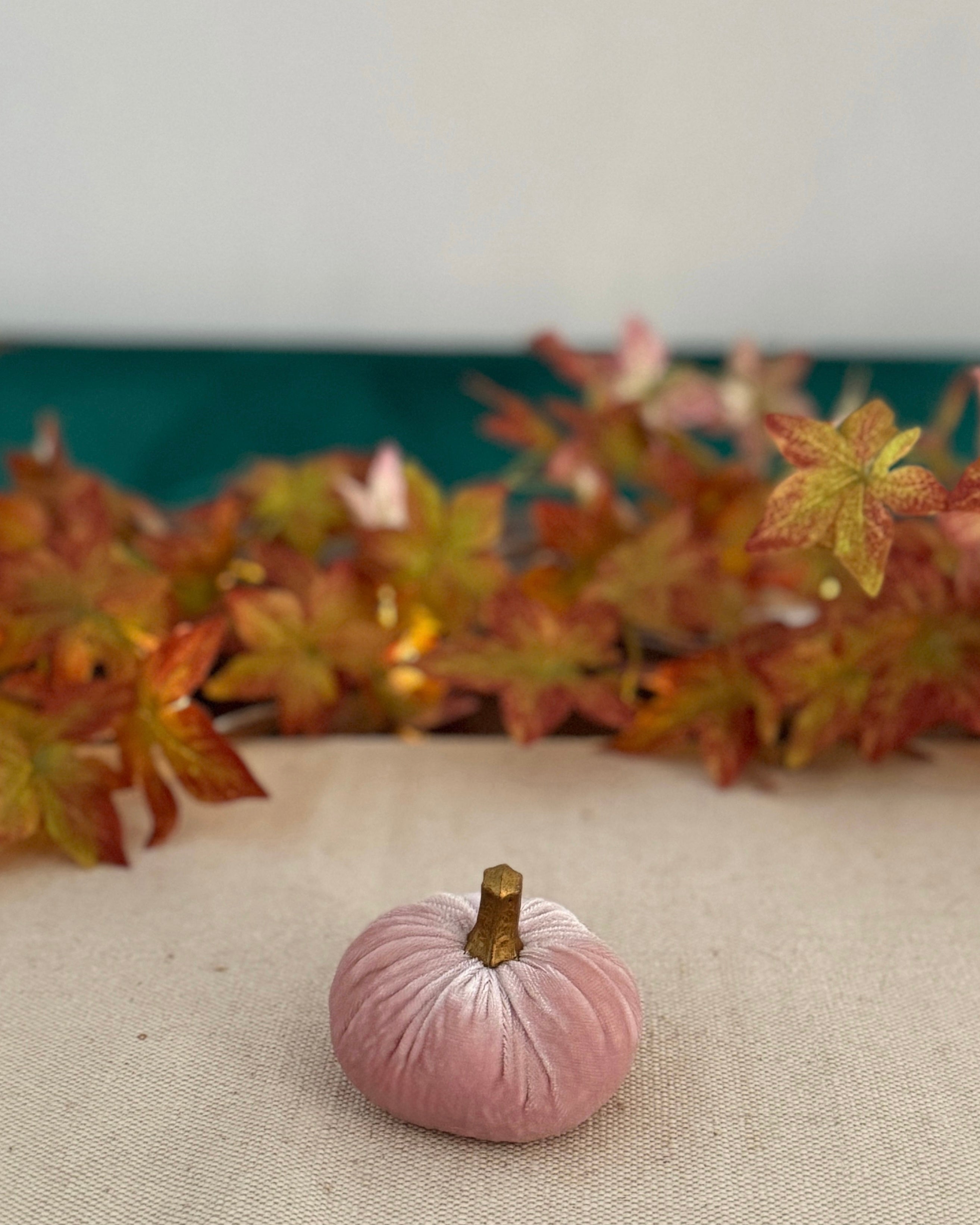 Oyster Pink Luxury Velvet Pumpkins