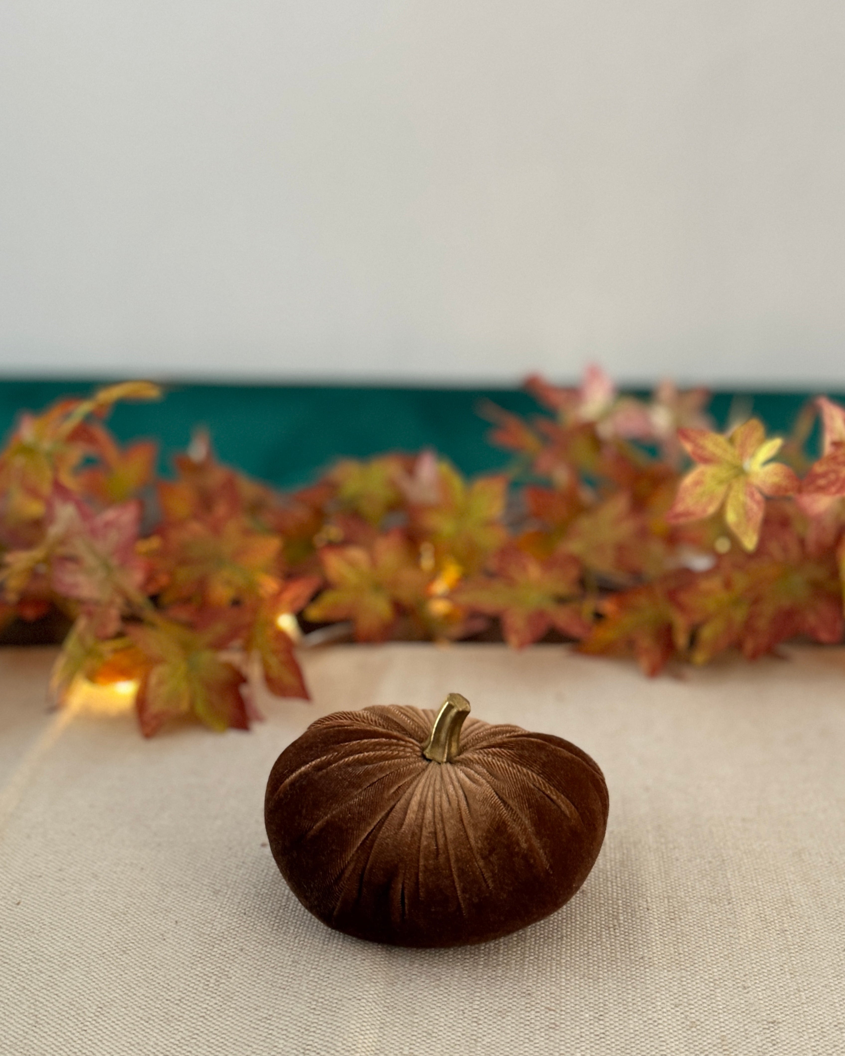 Small brown pumpkin on a tablecloth with autumn leaves in the background