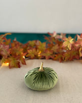 Small green pumpkin on a beige surface with autumn leaves in the background