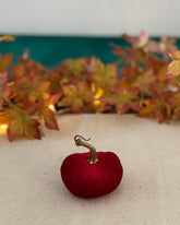 Small red pumpkin on a beige surface with autumn leaves in the background