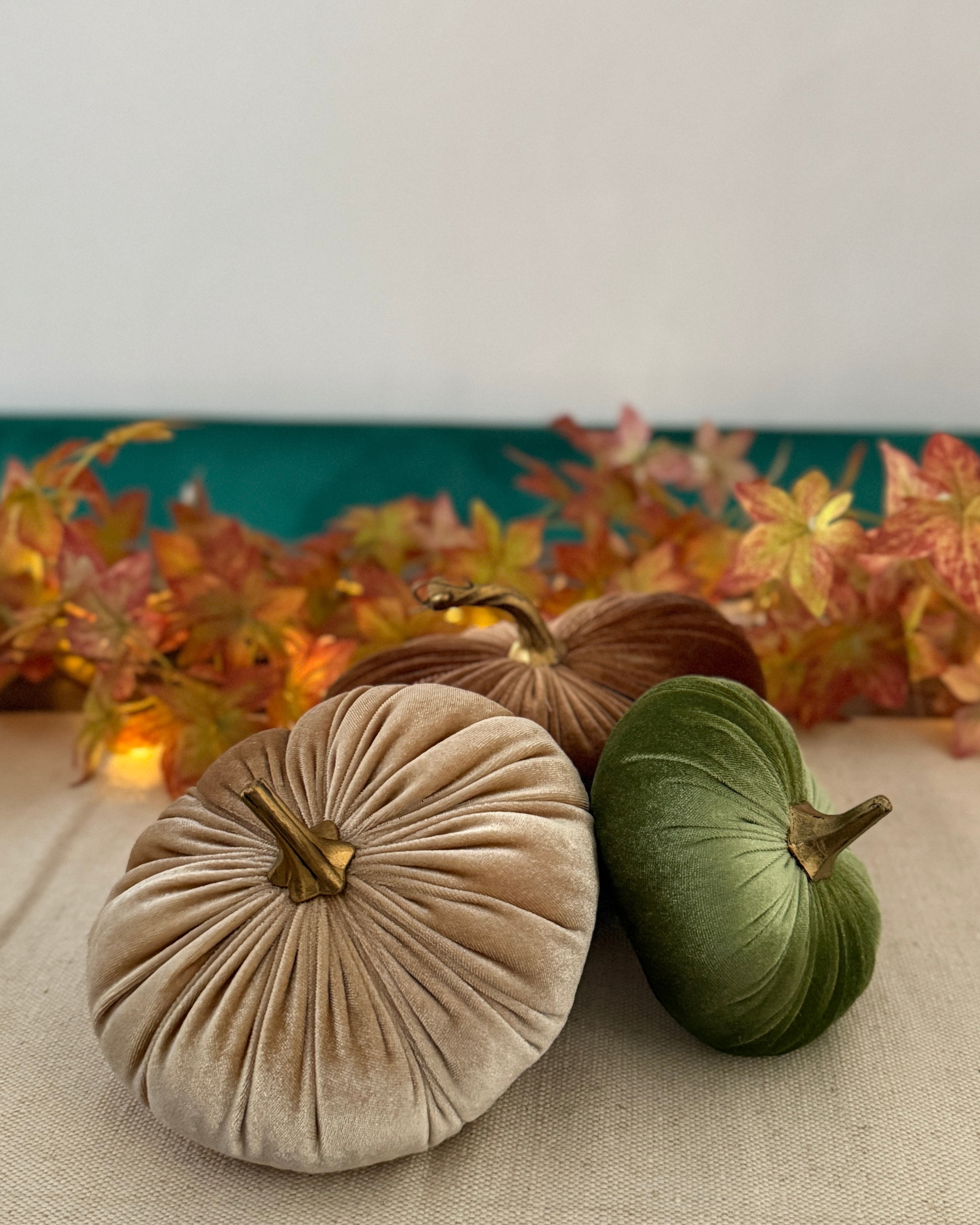 Decorative pumpkins on a table with autumn leaves in the background