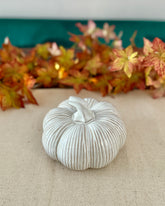 Decorative white pumpkin on a beige surface with autumn leaves in the background