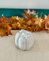 White textured pumpkin on a beige surface with autumn leaves in the background