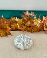 Decorative white pumpkin on a textured surface with autumn leaves in the background
