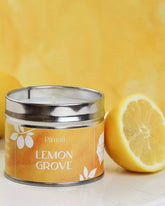 Lemon Grove Paint Pot Candle - Benny and Mollie
