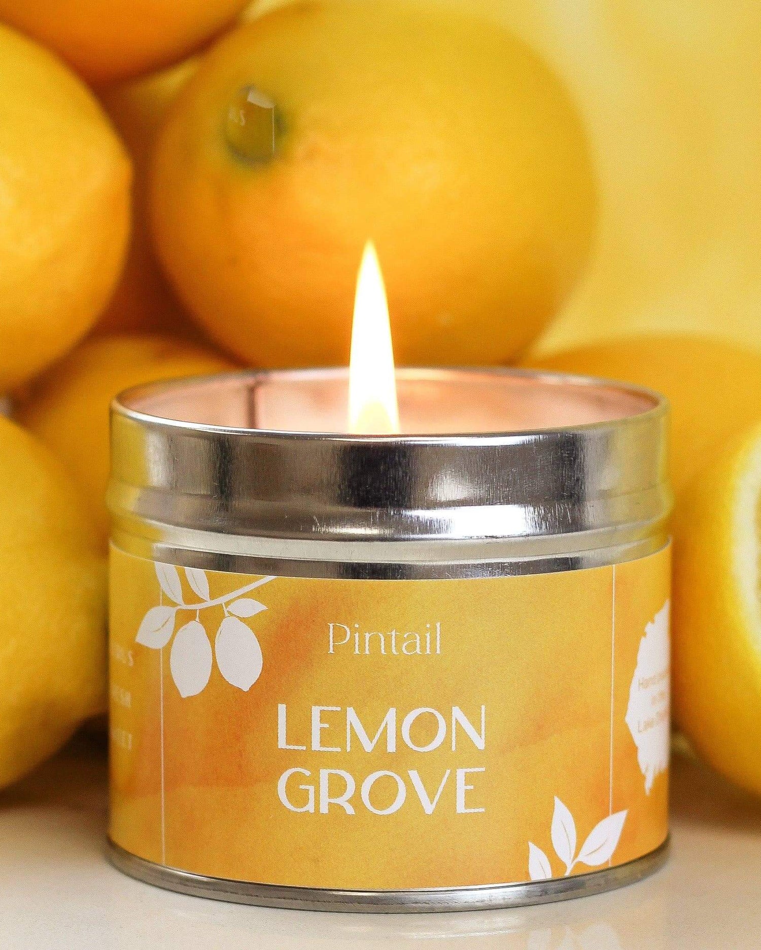 Lemon Grove Paint Pot Candle - Benny and Mollie