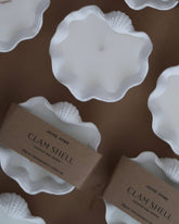 Driftwood & Rocksalt Scented Mini Clam Shell Candle - Benny and Mollie