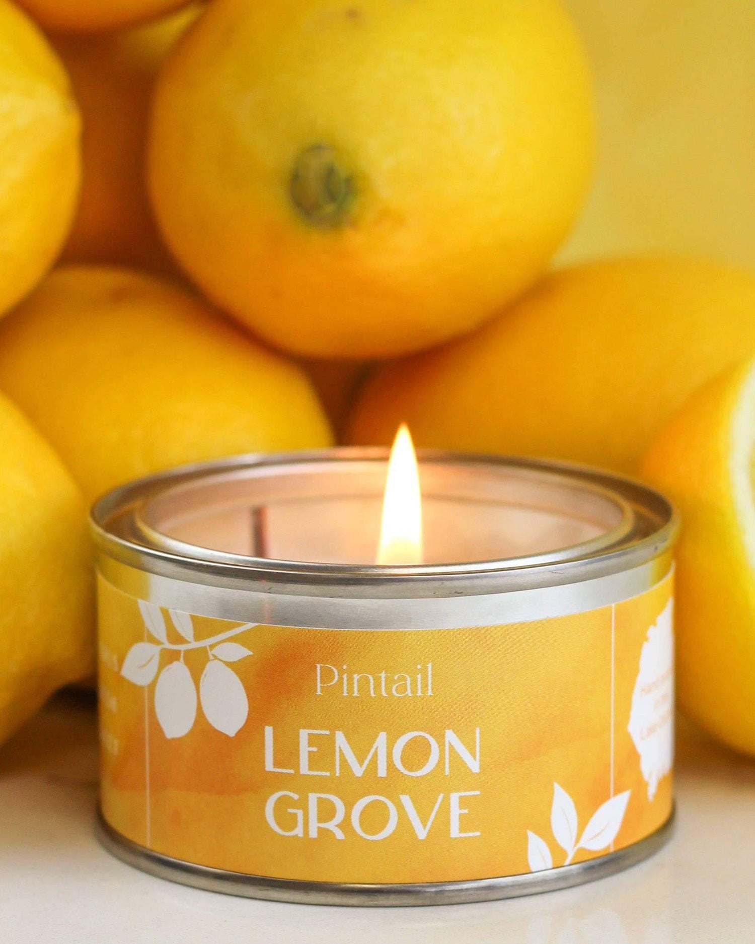 Lemon Grove Paint Pot Candle - Benny and Mollie