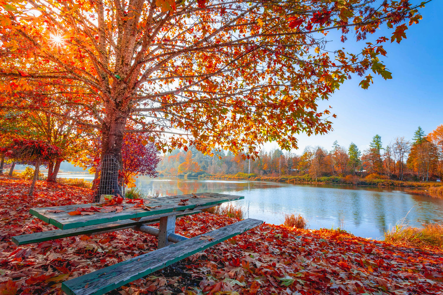 From Sunshine to Sweater Weather: Embracing the Beauty of the Summer-to-Autumn Shift