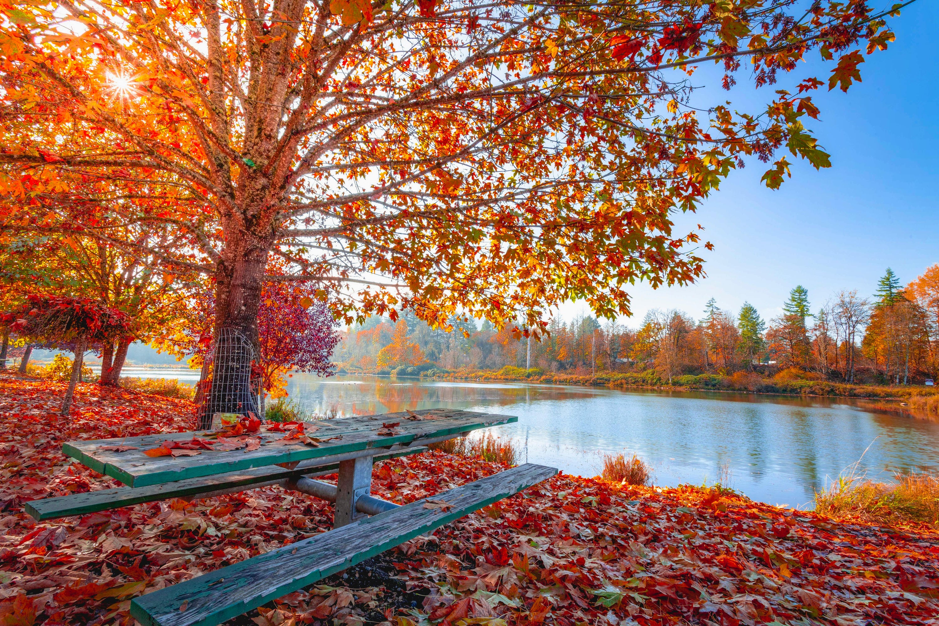 From Sunshine to Sweater Weather: Embracing the Beauty of the Summer-to-Autumn Shift