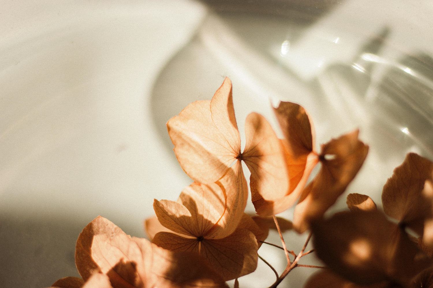 Cosy, Not Cluttered: A Minimalist’s Guide to Autumn Magic