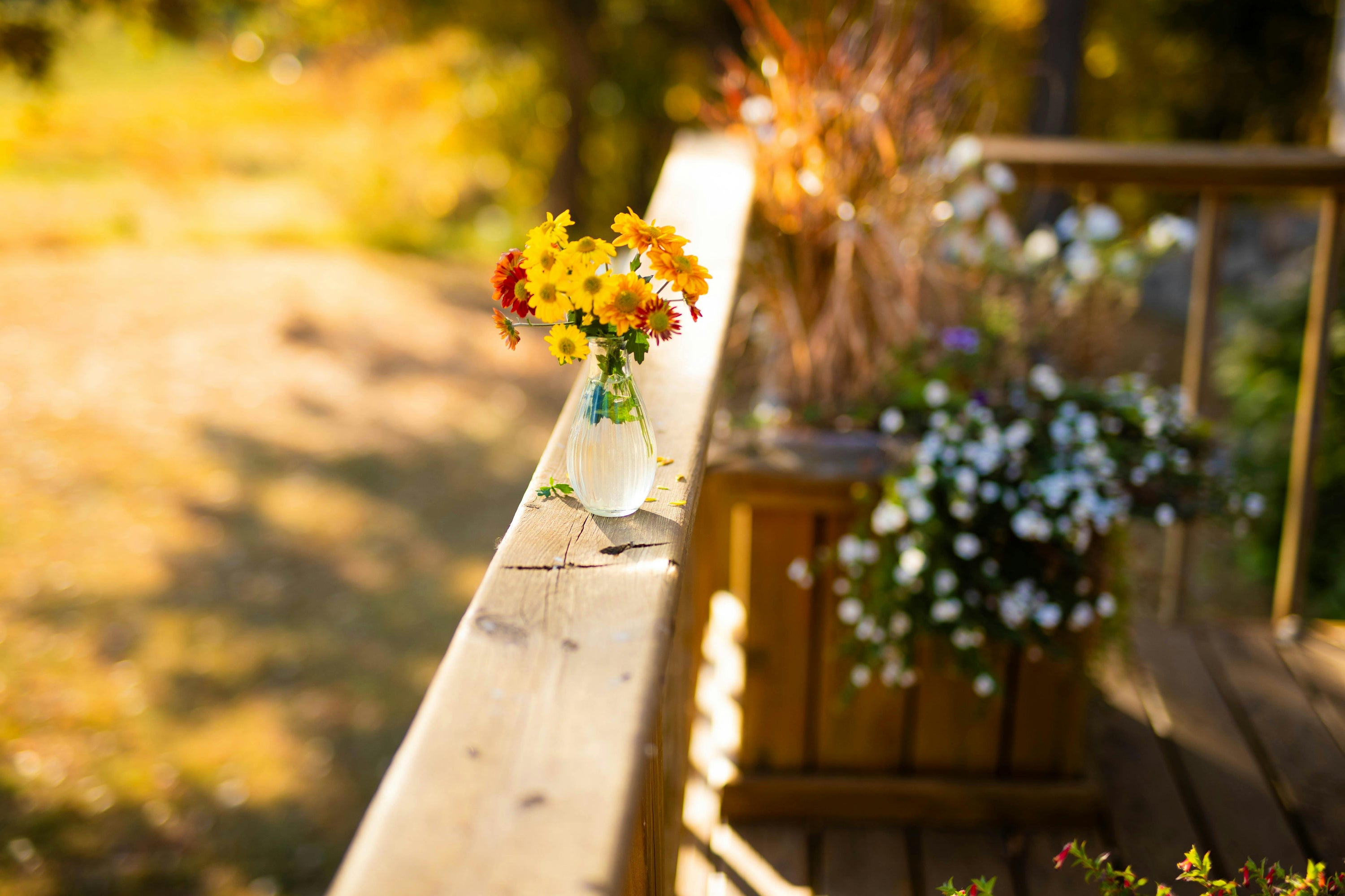 End of Summer, Start of Cosy: Late August Styling Tips