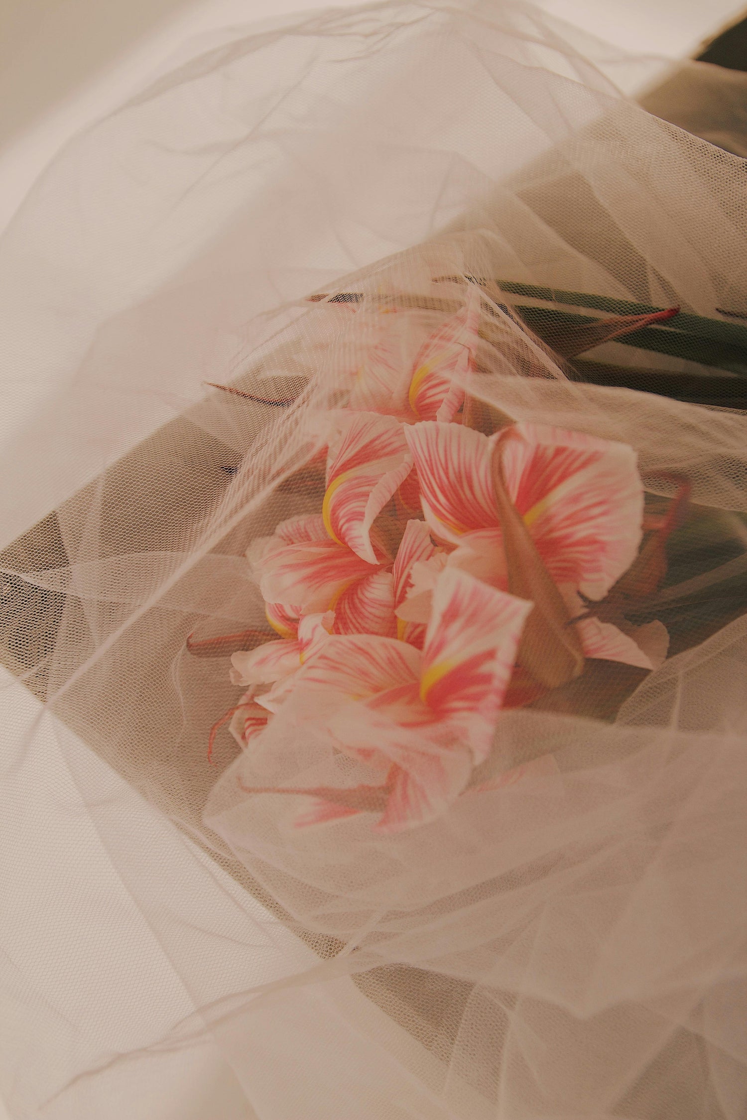 The Wedding Edit
