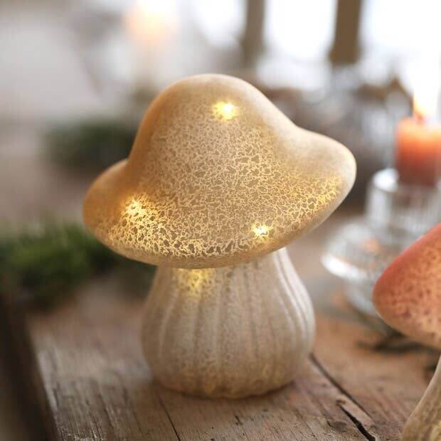 Neutral Glass Mushroom Light - Medium