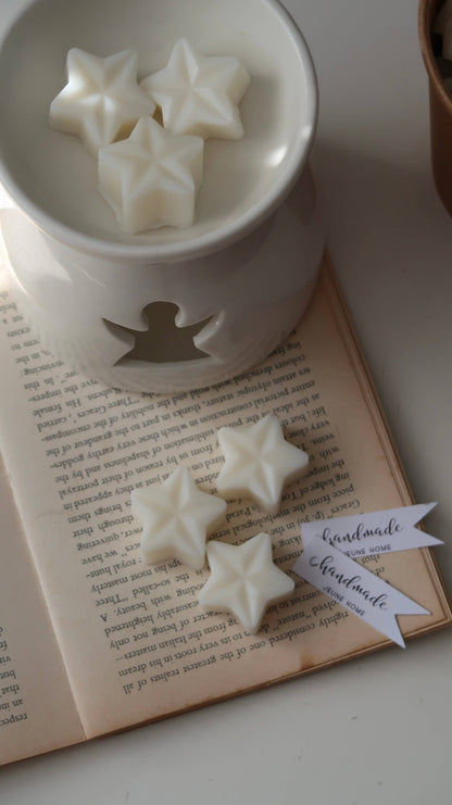 Christmas Tree Scented Star Shaped Wax Melts