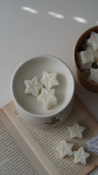 Christmas Tree Scented Star Shaped Wax Melts