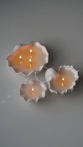 Scented Large Clam Shell Candle - Benny and Mollie