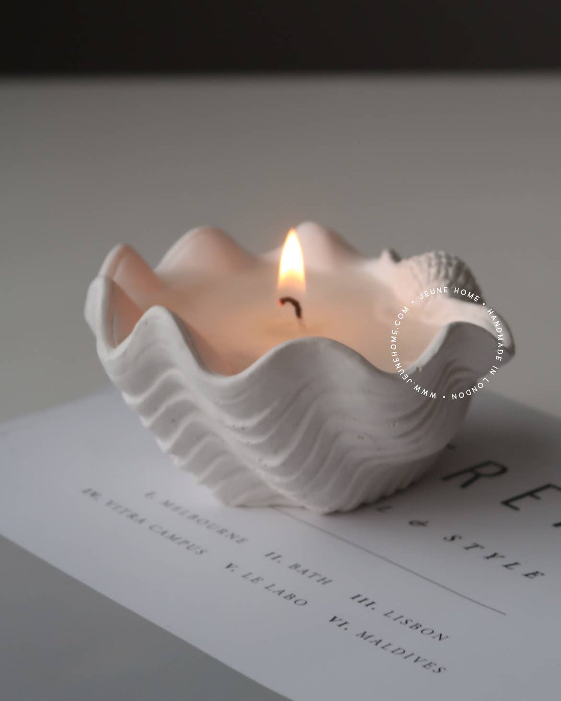 Driftwood & Rocksalt Scented Mini Clam Shell Candle - Benny and Mollie