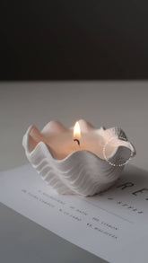 Driftwood & Rocksalt Scented Mini Clam Shell Candle - Benny and Mollie