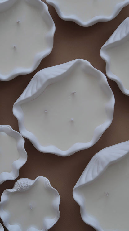 Scented Large Clam Shell Candle - Benny and Mollie