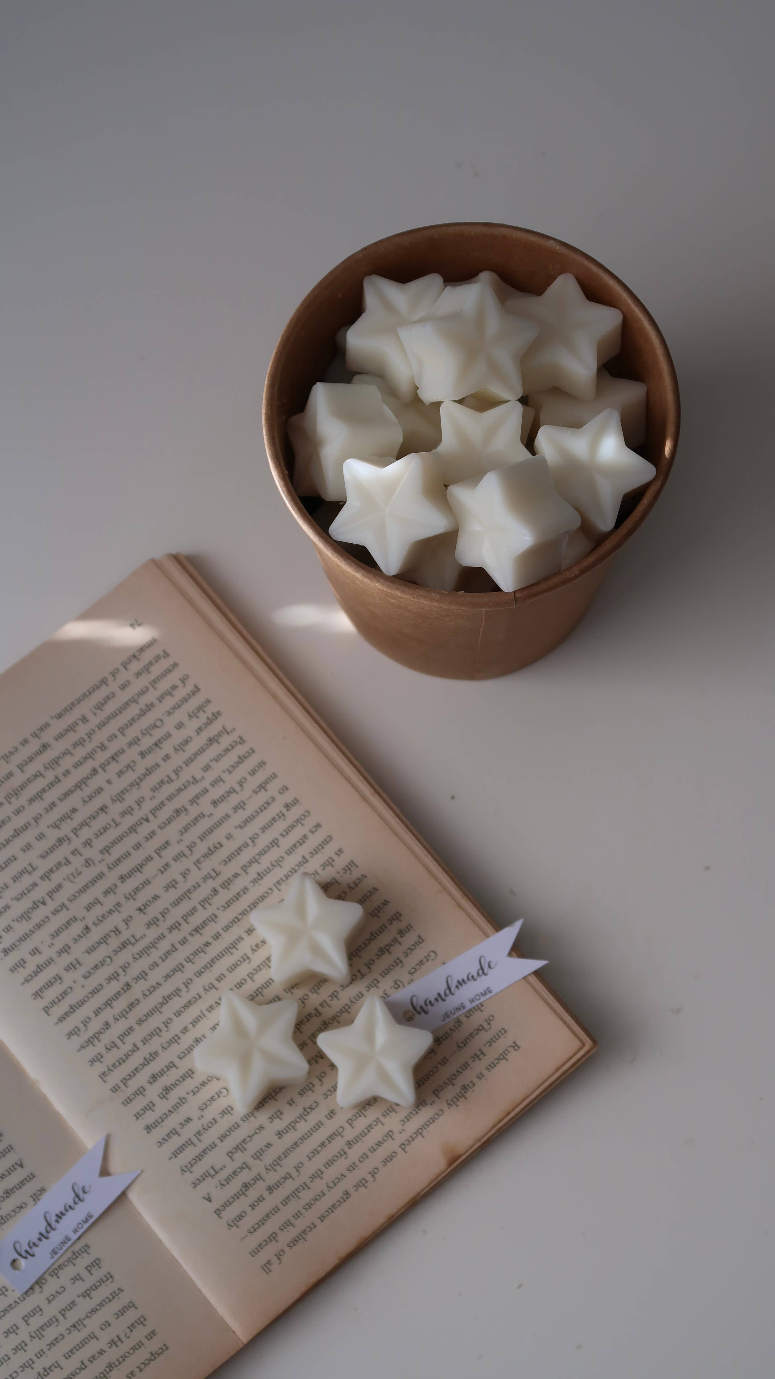 Christmas Tree Scented Star Shaped Wax Melts