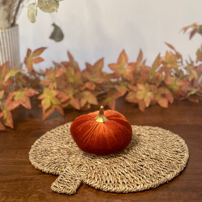 Rich Rust Luxury Velvet Pumpkins