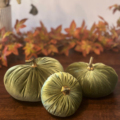 Olive Green Luxury Velvet Pumpkins