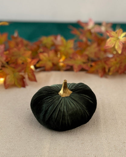 Small green pumpkin on a beige surface with autumn leaves in the background