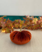 Small orange pumpkin on a table with autumn leaves in the background