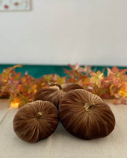 Toasted Caramel Luxury Velvet Pumpkins