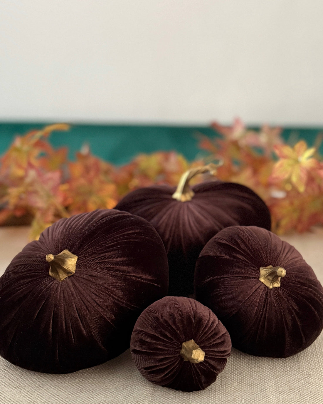 Set of dark brown velvet pumpkins with gold stems on a neutral background