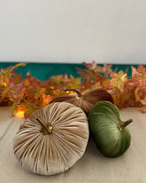 Decorative pumpkins on a table with autumn leaves in the background