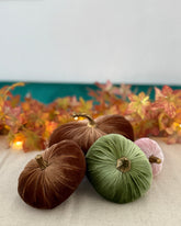 Decorative pumpkins in brown, green, and pink on a table with a festive background.