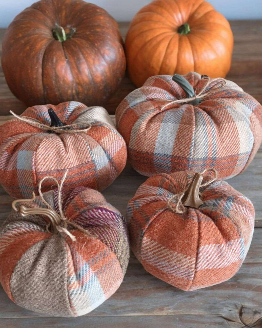 Balmoral Orange Check Fabric Pumpkins - Benny and Mollie