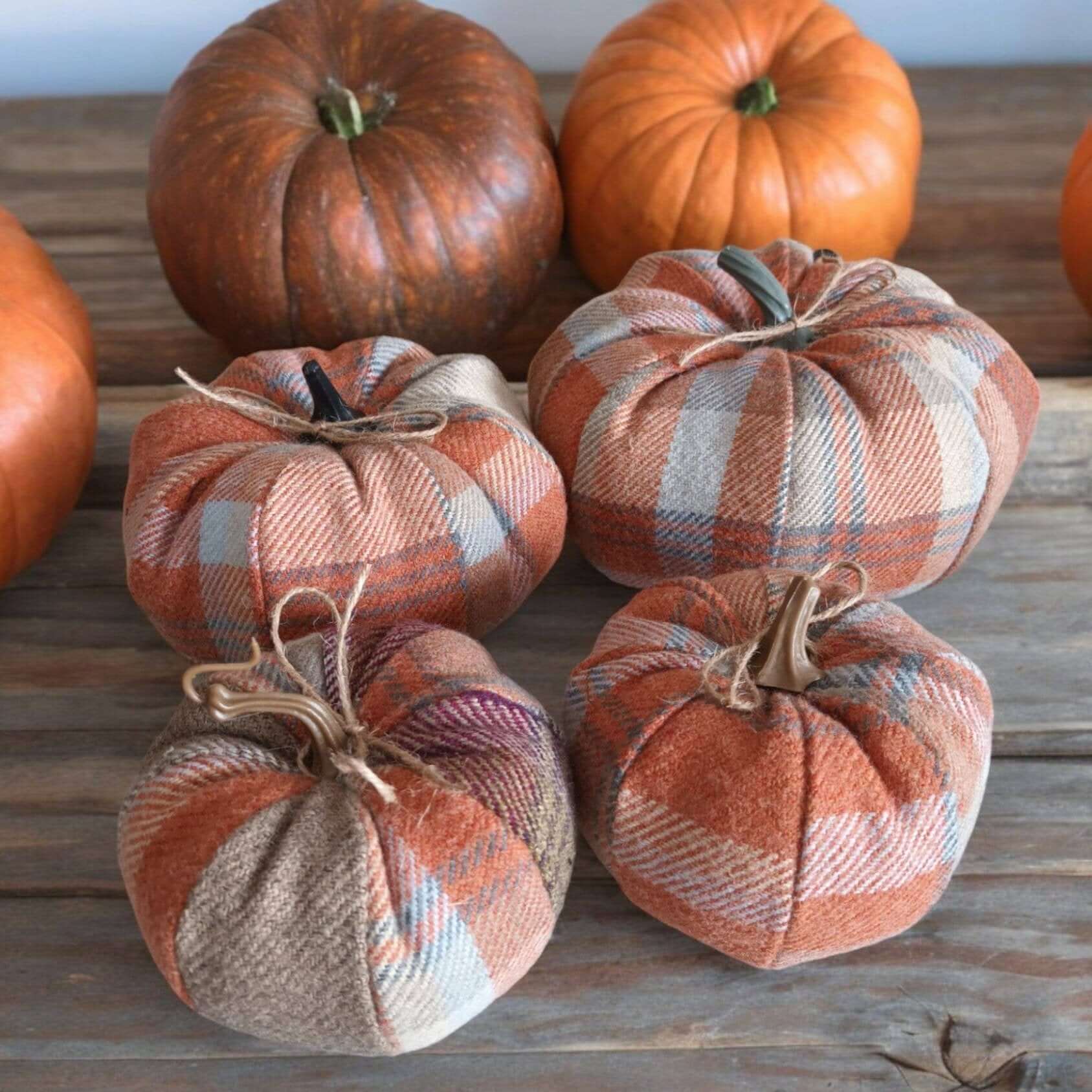 Balmoral Orange Check Fabric Pumpkins - Benny and Mollie