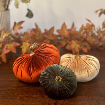 Champagne Luxury Velvet Pumpkins - Benny and Mollie