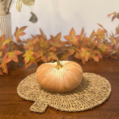 Champagne Luxury Velvet Pumpkins - Benny and Mollie