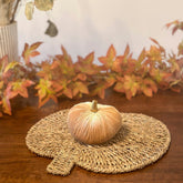 Champagne Luxury Velvet Pumpkins - Benny and Mollie