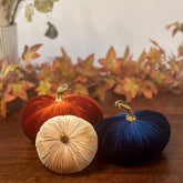 Champagne Luxury Velvet Pumpkins - Benny and Mollie