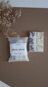 Scented Botanical Wax Melts - Benny and Mollie